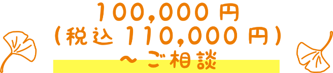 100,000円(税込み110,000円)～ご相談